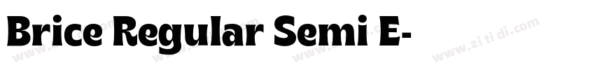 Brice Regular Semi E字体转换 Brice Regular Semi E字体转换